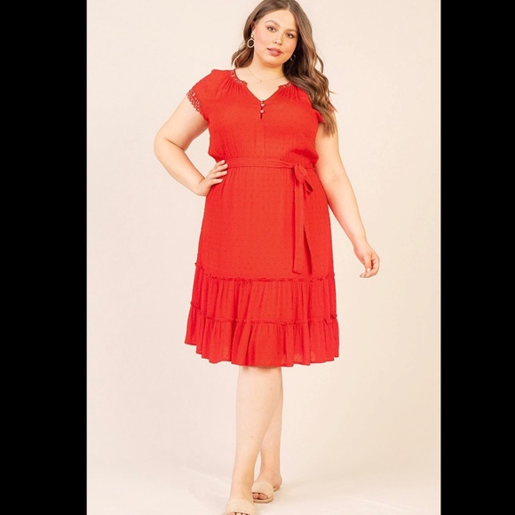 Embroidered Ruffle Dress - Picture 2 of 3